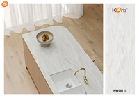 Koris Artificial Marble Solid Surface Countertop NW58115