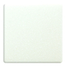 Silicon-Free Solid Surface