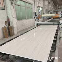 Koris Solid Surface Artificial Marble CW5847